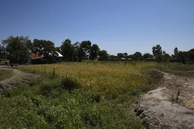 DSC_2762 (Large).JPG